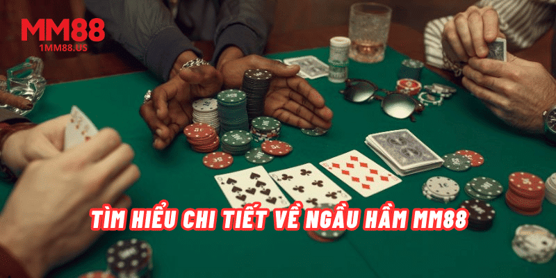 tim-hieu-chi-tiet-ve-ngau-ham-mm88